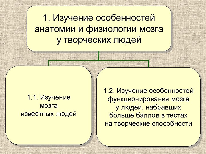 1. Изучение особенностей анатомии и физиологии мозга у творческих людей 1. 1. Изучение мозга