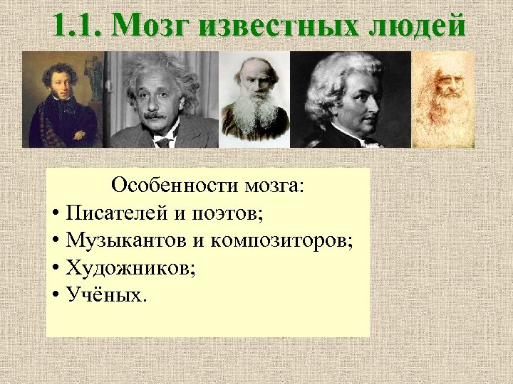 1. 1. Мозг известных людей Особенности мозга: • Писателей и поэтов; • Музыкантов и