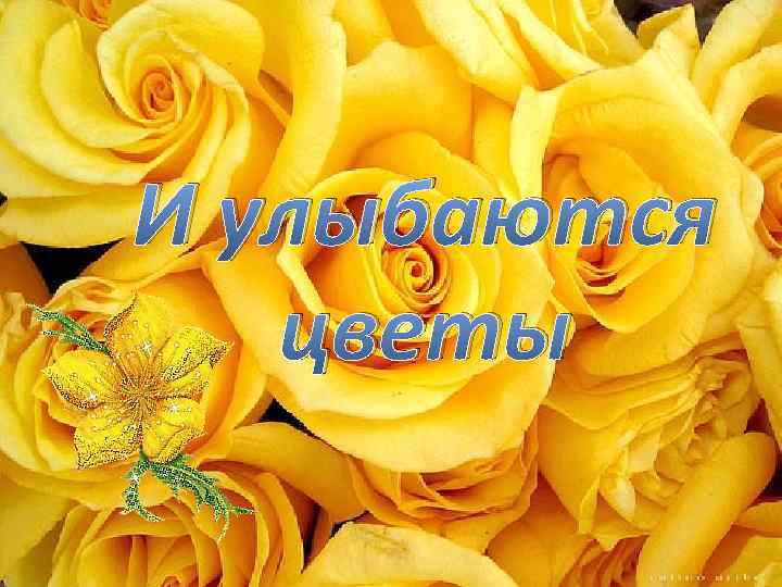 И улыбаются цветы 