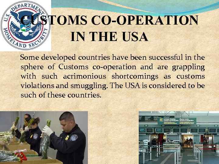 CUSTOMS CO-OPERATION IN THE USA Some developed countries have been successful in the sphere