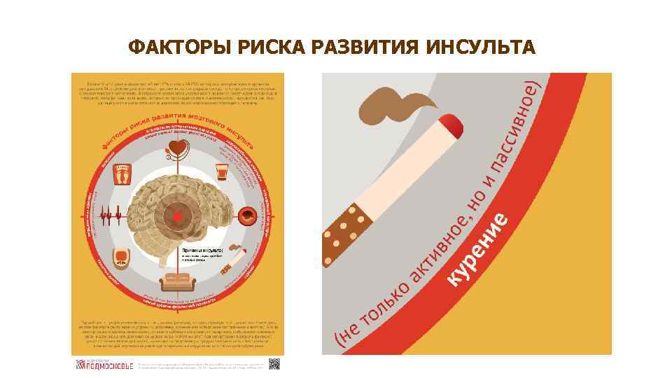 ФАКТОРЫ РИСКА РАЗВИТИЯ ИНСУЛЬТА 
