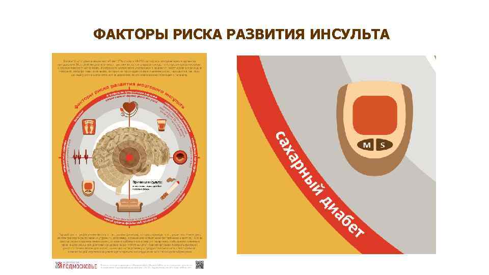 ФАКТОРЫ РИСКА РАЗВИТИЯ ИНСУЛЬТА 