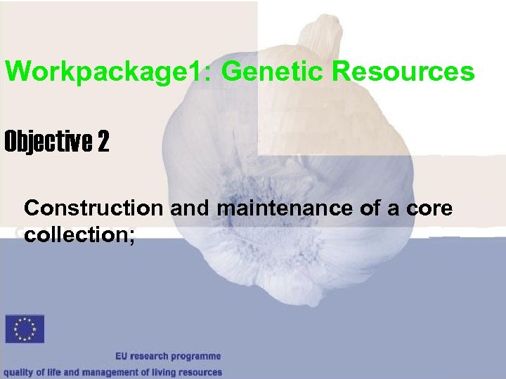 Workpackage 1: Genetic Resources Objective 2 Construction and maintenance of a core collection; 
