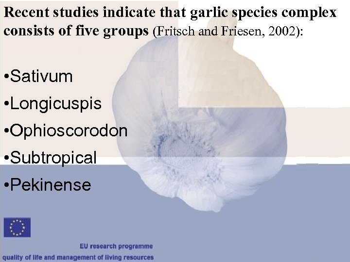 Recent studies indicate that garlic species complex consists of five groups (Fritsch and Friesen,