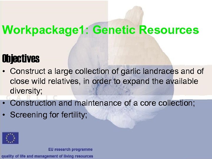 Workpackage 1: Genetic Resources Objectives • Construct a large collection of garlic landraces and
