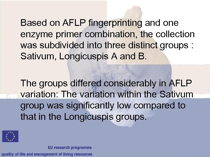 Based on AFLP fingerprinting and one enzyme primer combination, the collection was subdivided into