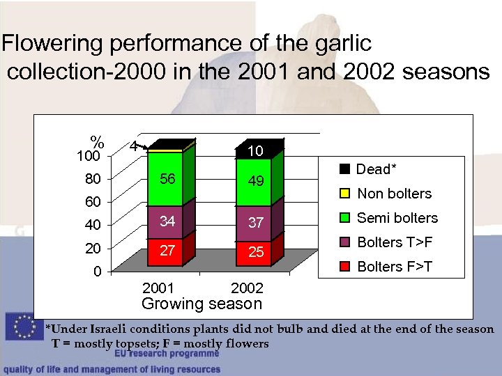 Flowering performance of the garlic collection-2000 in the 2001 and 2002 seasons % 100