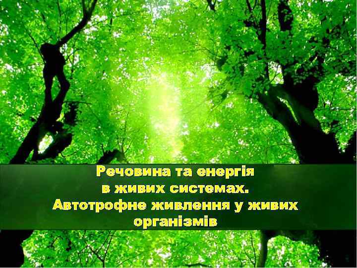 Речовина та енергія в живих системах. Автотрофне живлення у живих організмів 