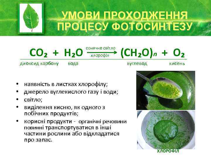 УМОВИ ПРОХОДЖЕННЯ ПРОЦЕСУ ФОТОСИНТЕЗУ СО₂ + Н₂О диоксид карбону сонячне світло хлорофіл (СН₂О)n +