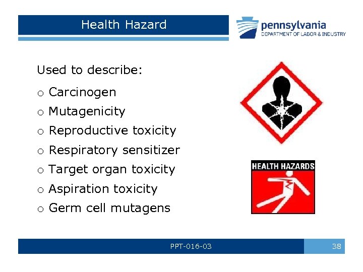 Health Hazard Used to describe: o Carcinogen o Mutagenicity o Reproductive toxicity o Respiratory