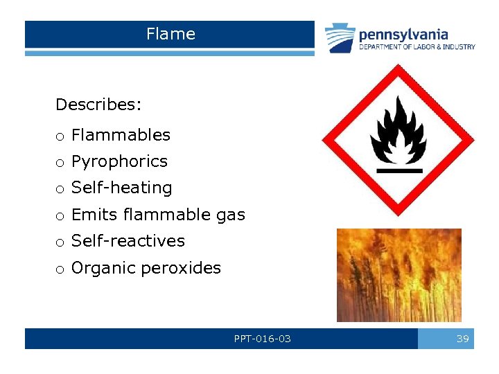 Flame Describes: o Flammables o Pyrophorics o Self-heating o Emits flammable gas o Self-reactives