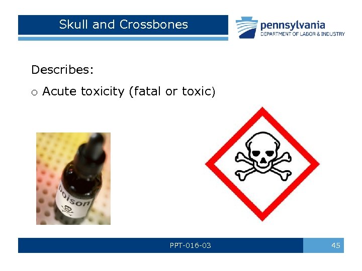 Skull and Crossbones Describes: o Acute toxicity (fatal or toxic) PPT-016 -03 45 