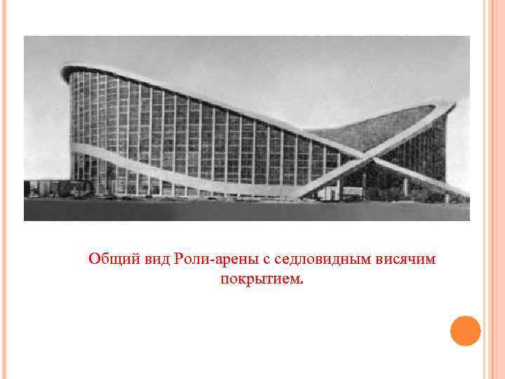 Общий вид Роли-арены с седловидным висячим покрытием. 
