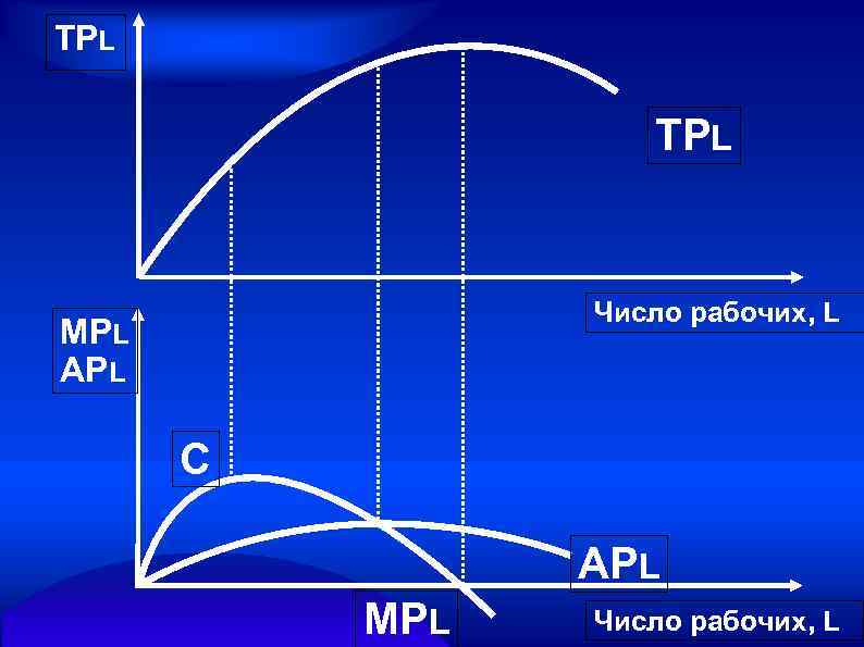 TPL Число рабочих, L MPL APL С APL MPL Число рабочих, L 