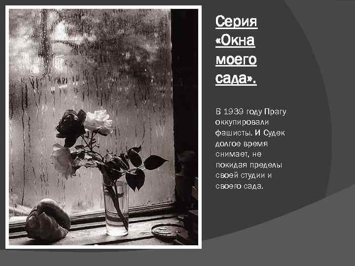 Серия «Окна моего сада» . В 1939 году Прагу оккупировали фашисты. И Судек долгое