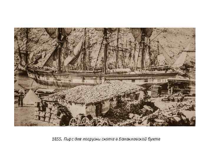 1855. Пирс для погрузки скота в Балаклавской бухте 