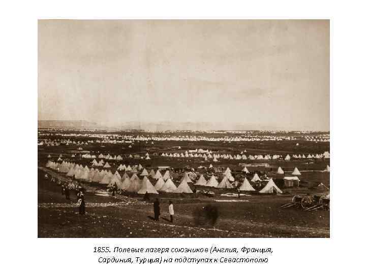 1855. Полевые лагеря союзников (Англия, Франция, Сардиния, Турция) на подступах к Севастополю 