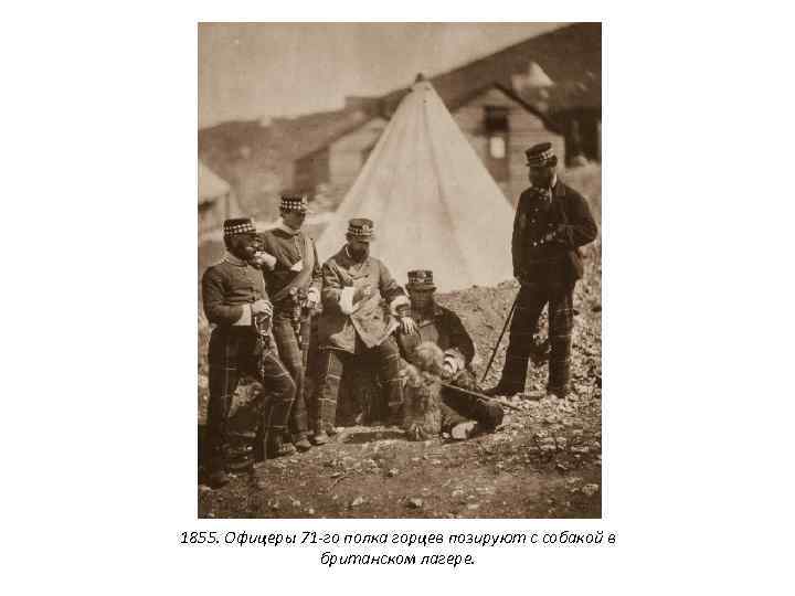 1855. Офицеры 71 -го полка горцев позируют с собакой в британском лагере. 