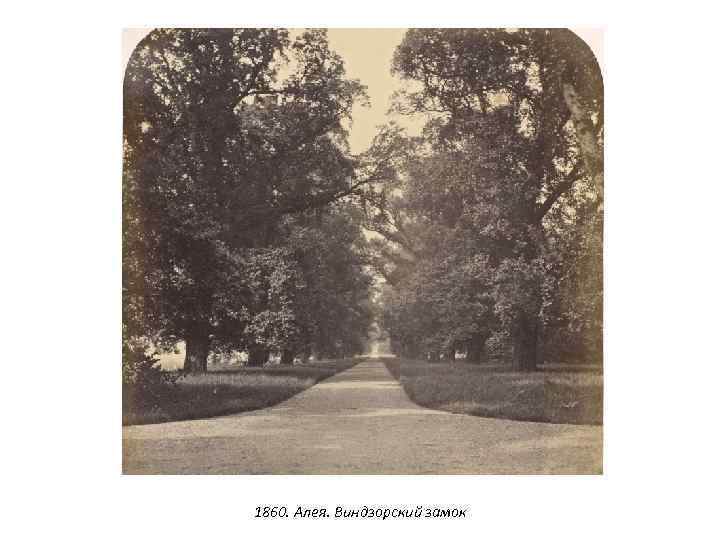 1860. Алея. Виндзорский замок 