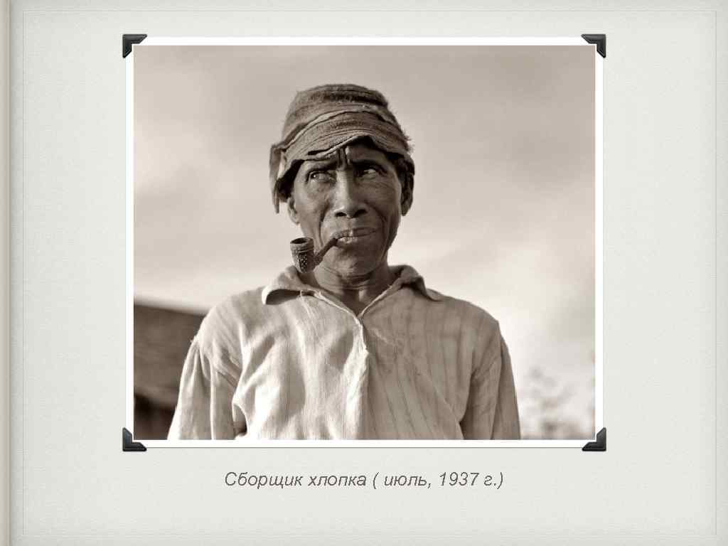 Сборщик хлопка ( июль, 1937 г. ) 