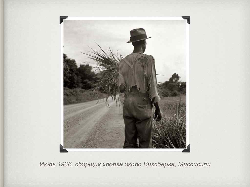 Июль 1936, сборщик хлопка около Виксберга, Миссисипи 