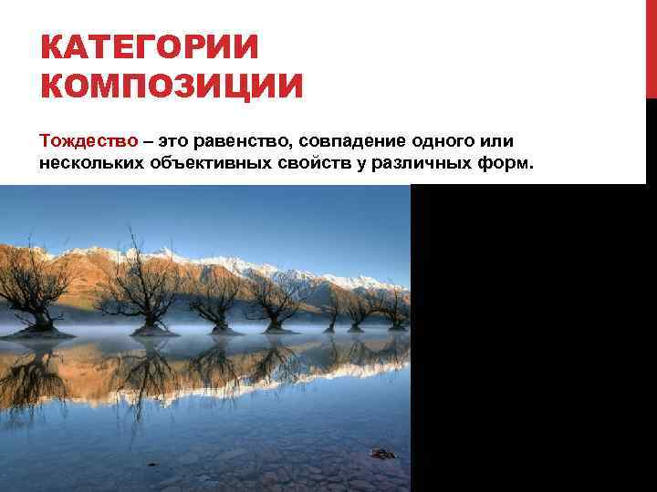 КАТЕГОРИИ КОМПОЗИЦИИ Тождество – это равенство, совпадение одного или нескольких объективных свойств у различных