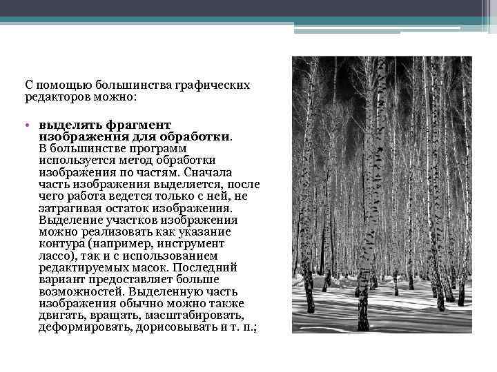 С помощью большинства графических редакторов можно: • выделять фрагмент изображения для обработки. В большинстве