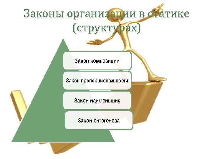 Законы организации в статике (структурах) Закон композиции Закон пропорциональности Закон наименьших Закон онтогенеза 