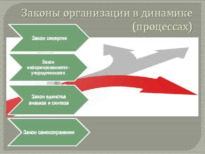 Законы организации в динамике (процессах) Закон синергии Закон информированностиупорядоченности Закон единства анализа и синтеза