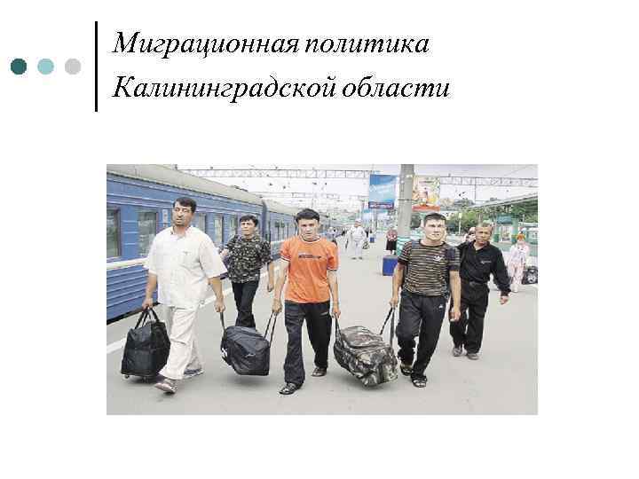 Миграционная политика Калининградской области 