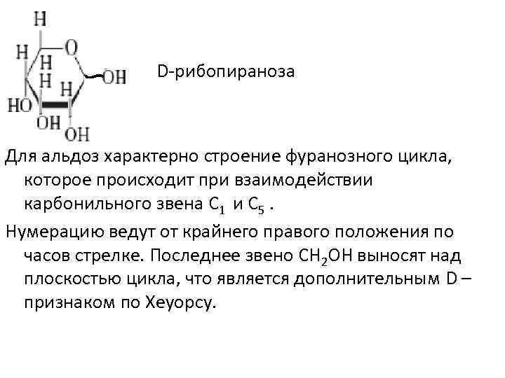 D-рибопираноза Для альдоз характерно строение фуранозного цикла, которое происходит при взаимодействии карбонильного звена С