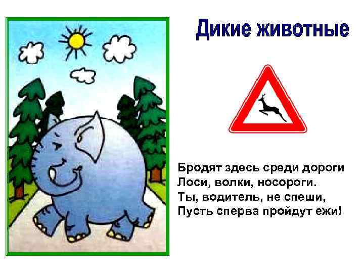 Бродят здесь среди дороги Лоси, волки, носороги. Ты, водитель, не спеши, Пусть сперва пройдут