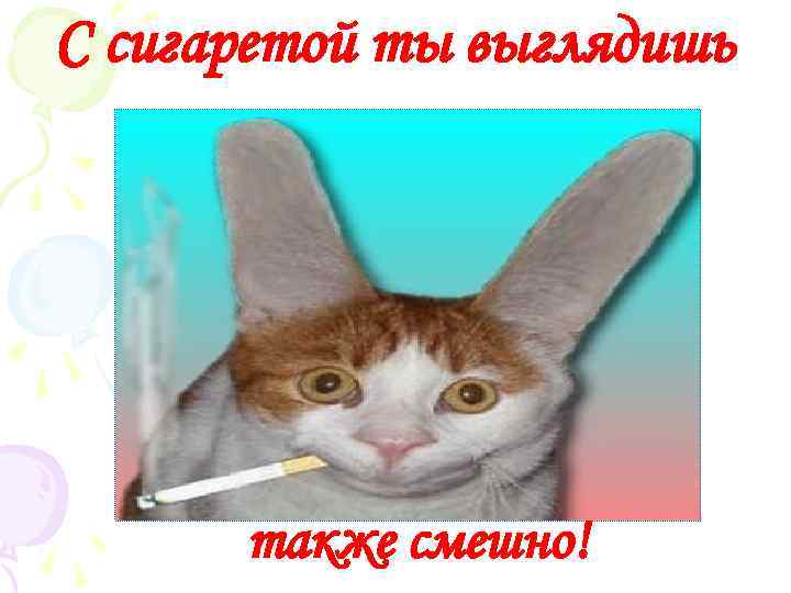 С сигаретой ты выглядишь также смешно! 