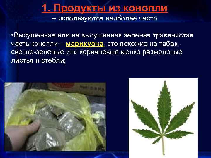 1. Продукты из конопли – используются наиболее часто • Высушенная или не высушенная зеленая