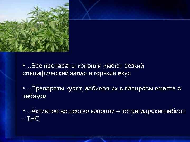  • …Все препараты конопли имеют резкий специфический запах и горький вкус • …Препараты