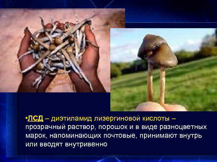  • ЛСД – диэтиламид лизергиновой кислоты – прозрачный раствор, порошок и в виде