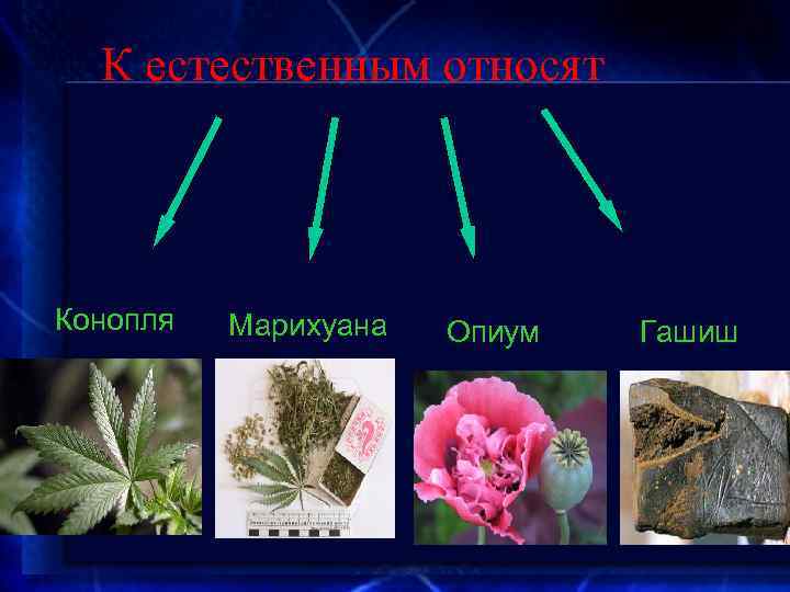 К естественным относят Конопля Марихуана Опиум Гашиш 