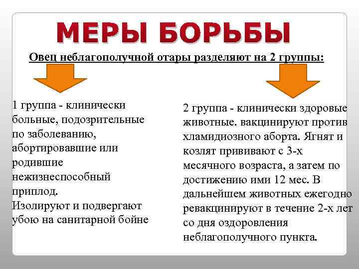 МЕРЫ БОРЬБЫ Овец неблагополучной отары разделяют на 2 группы: 1 группа - клинически больные,