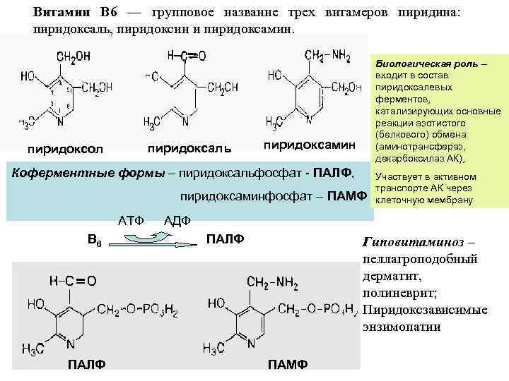 Витамин В 6 — групповое название трех витамеров пиридина: пиридоксаль, пиридоксин и пиридоксамин. пиридоксаль