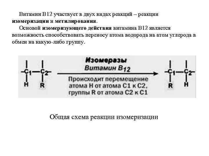 Витамин В 12 участвует в двух видах реакций – реакции изомеризации и метилирования. Основой
