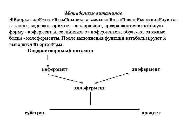 Mетаболизм витаминов Жирорастворимые витамины после всасывания в кишечнике депонируются в тканях, водорастворимые – как