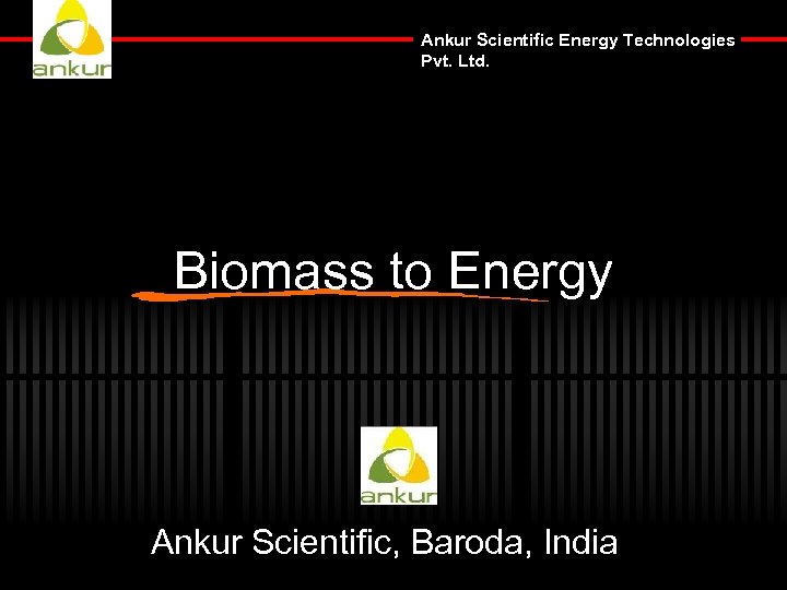 Ankur Scientific Energy Technologies Pvt. Ltd. Biomass to Energy Ankur Scientific, Baroda, India 