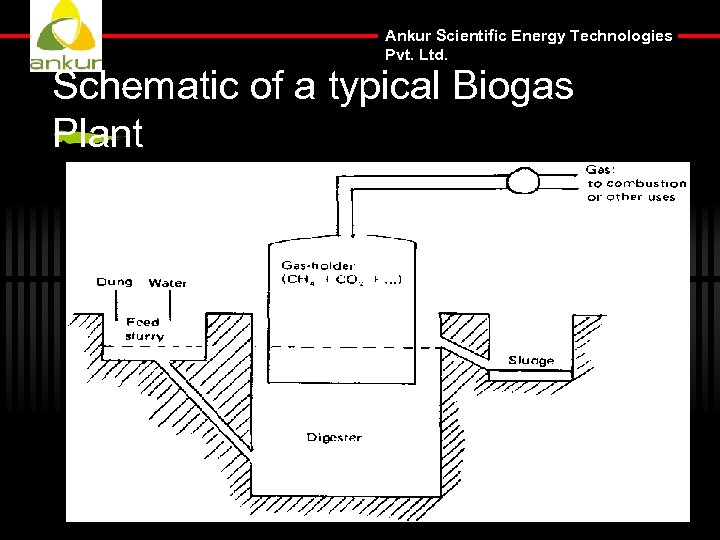 Ankur Scientific Energy Technologies Pvt. Ltd. Schematic of a typical Biogas Plant 