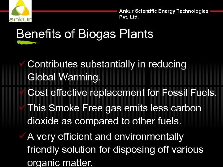 Ankur Scientific Energy Technologies Pvt Ltd Biomass to