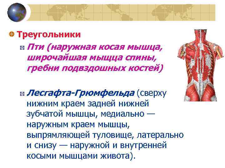 Технологическая карта физиология лесгафта