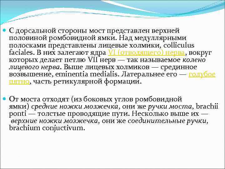  С дорсальной стороны мост представлен верхней половиной ромбовидной ямки. Над медуллярными полосками представлены