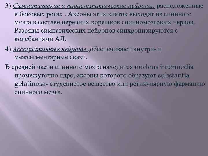 3) Симпатические и парасимпатические нейроны, расположенные в боковых рогах. Аксоны этих клеток выходят из