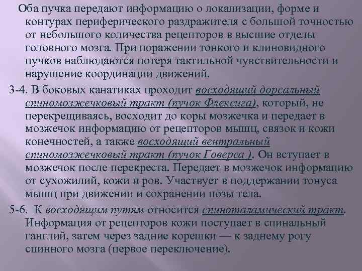 Оба пучка передают информацию о локализации, форме и контурах периферического раздражителя с большой точностью