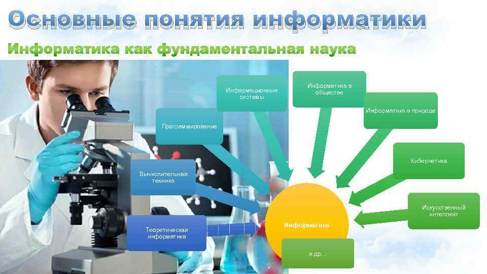 Основные понятия информатики Информационные системы Информатика в обществе Информатика в природе Программирование Кибернетика Вычислительная