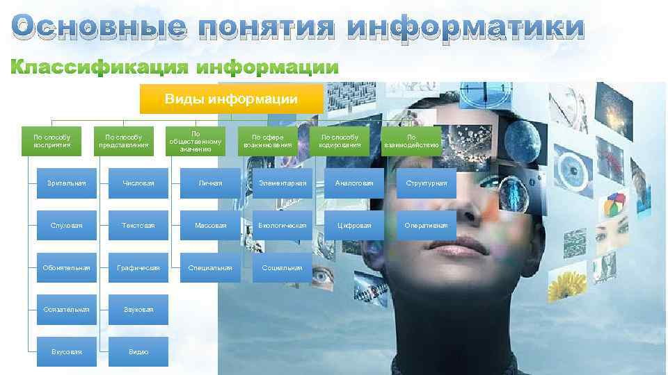 Основные понятия информатики Виды информации По способу восприятия По способу представления По общественному значению